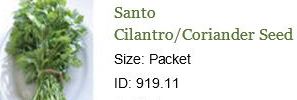 0170_20201223_1212_2021 Seed Order - Santo Cilantro - Coriander.jpg